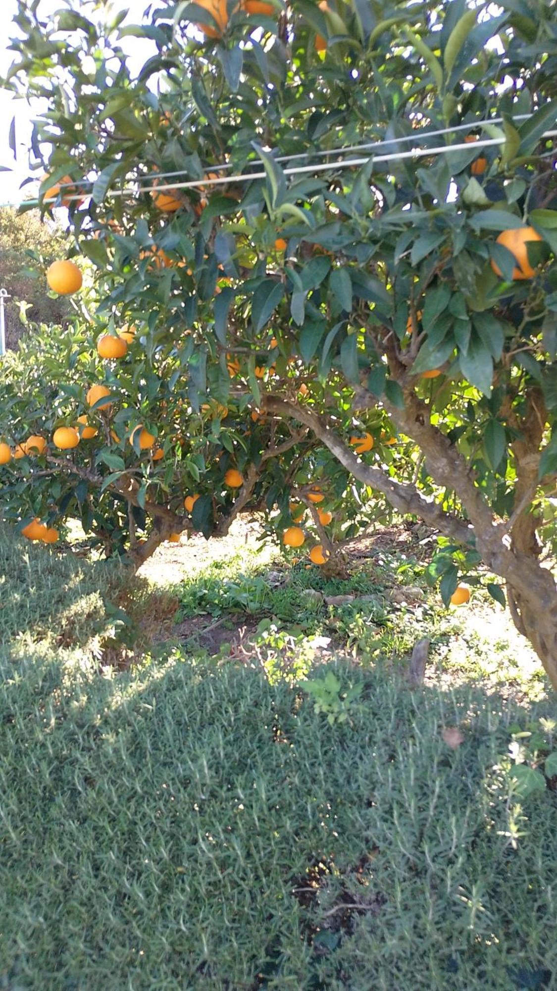 דירות סופטאר Jenny'S House מראה חיצוני תמונה
