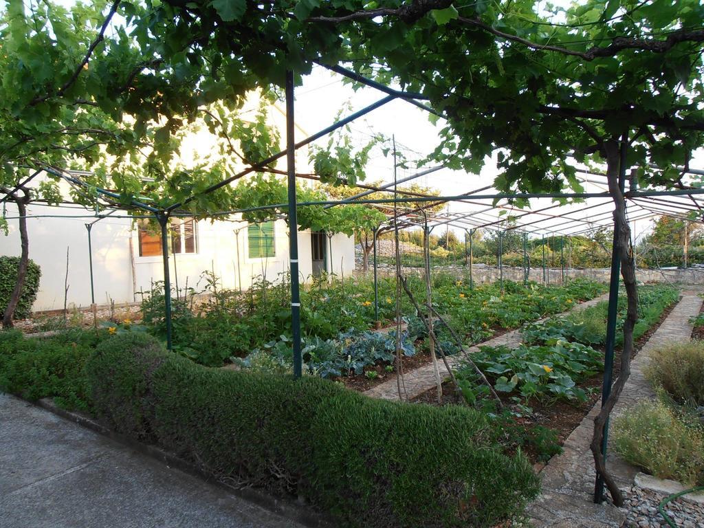 דירות סופטאר Jenny'S House מראה חיצוני תמונה