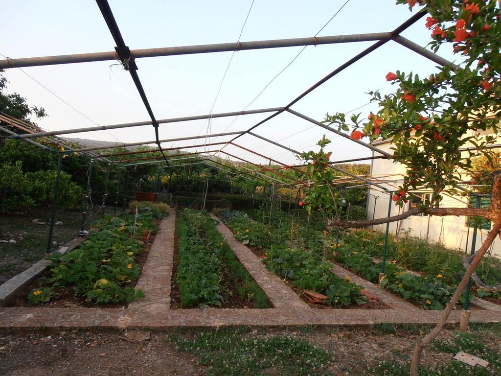 דירות סופטאר Jenny'S House מראה חיצוני תמונה